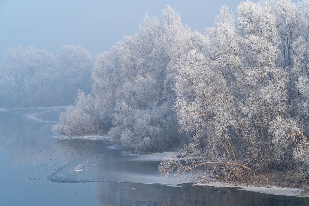 Photograph by Тамара Андреева