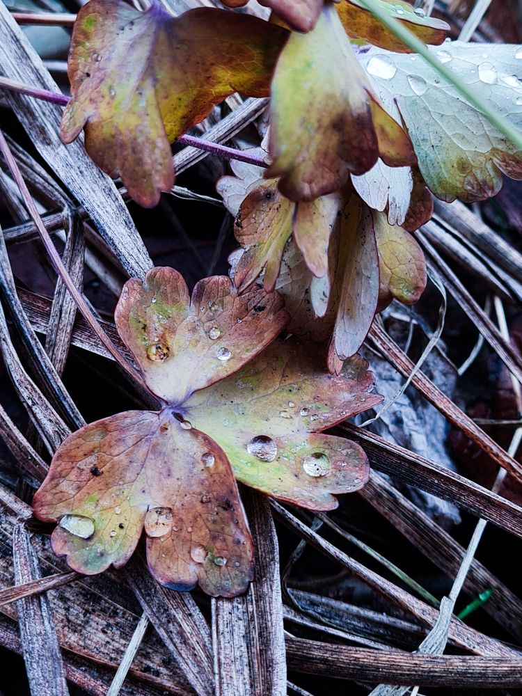 Photograph by Ирина Хлебникова