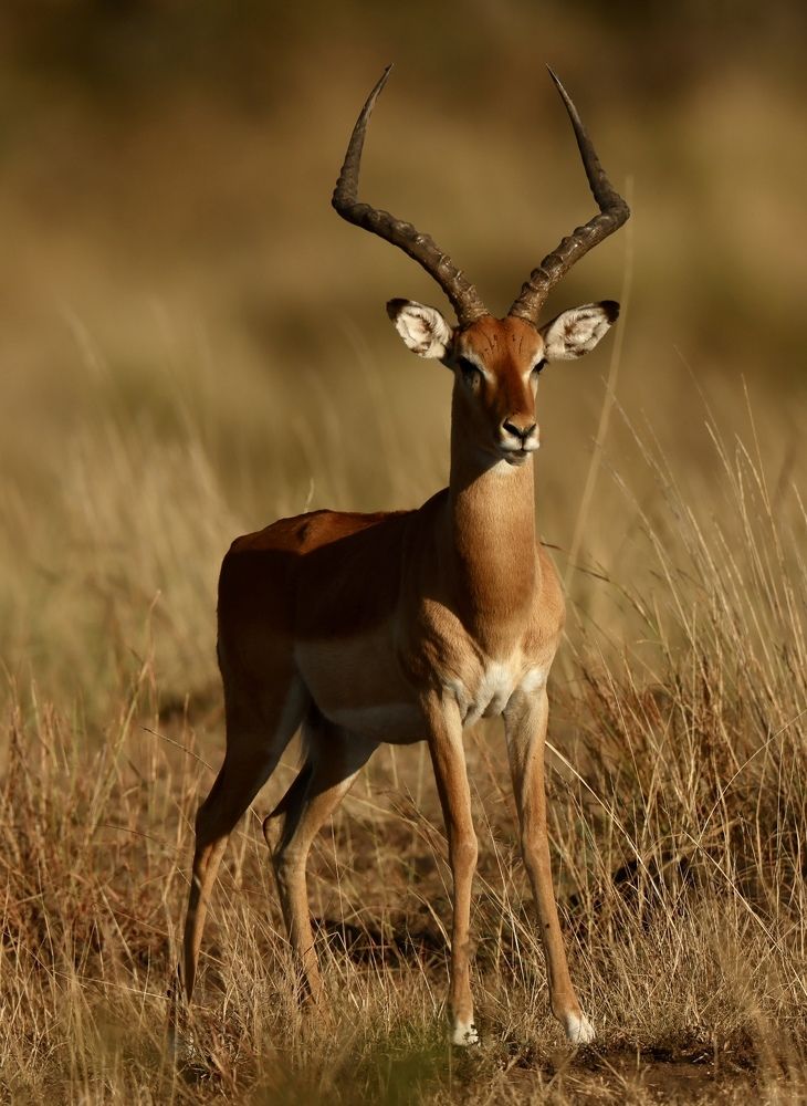 Photograph by Леонид Голубков