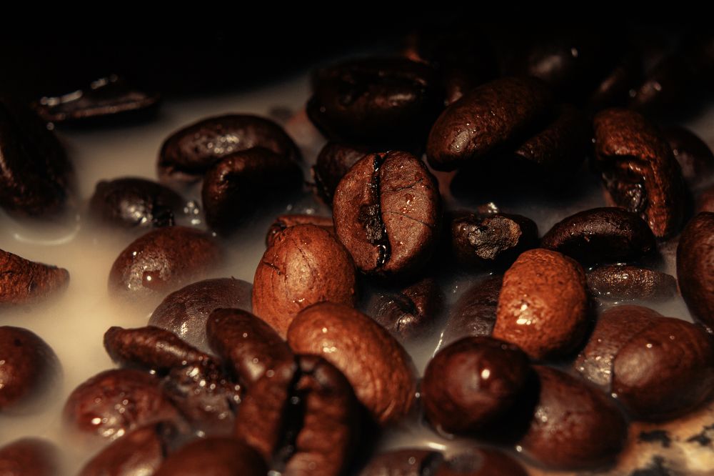 Photograph by Fábio Martins