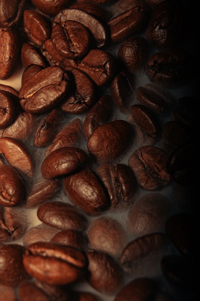 Photograph by Fábio Martins