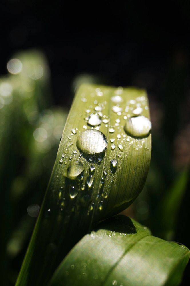 Photograph by Ирина Чувило