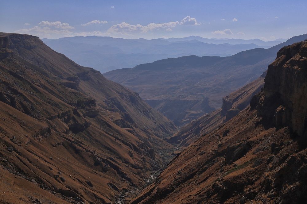 Фотография автора Елена Кириллова