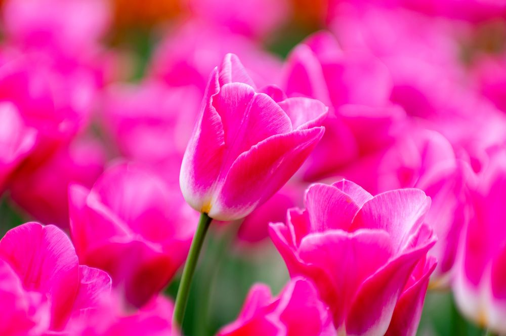 Photograph by Виктор Филипчук