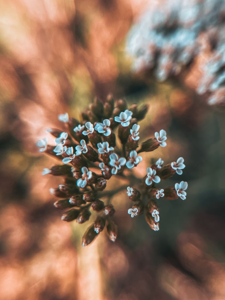 Photograph by Inna Belinskaya