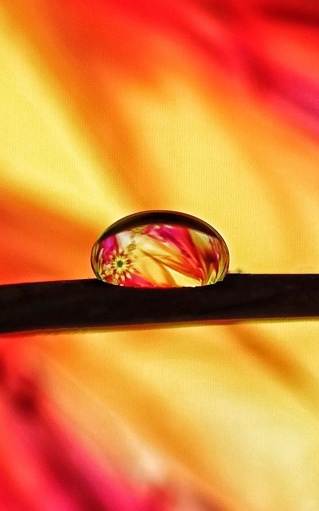 Photograph by Leanid Kulpo