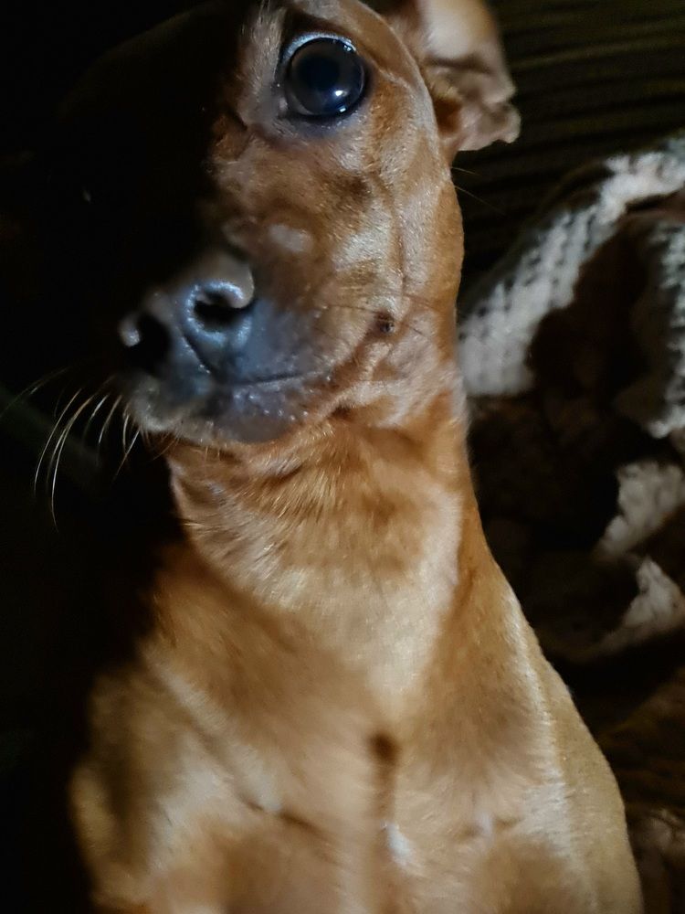 Photograph by Ирина Хлебникова