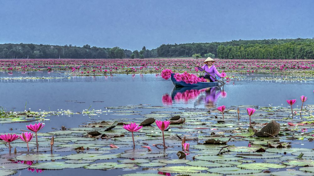 Photograph by Hùng Lâm Thế