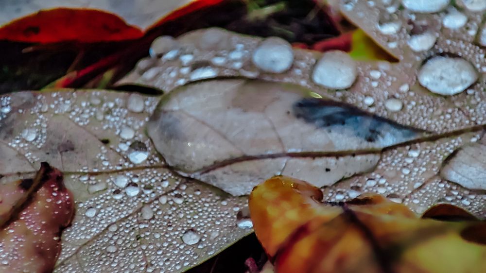 Photograph by Людмила Сергеева