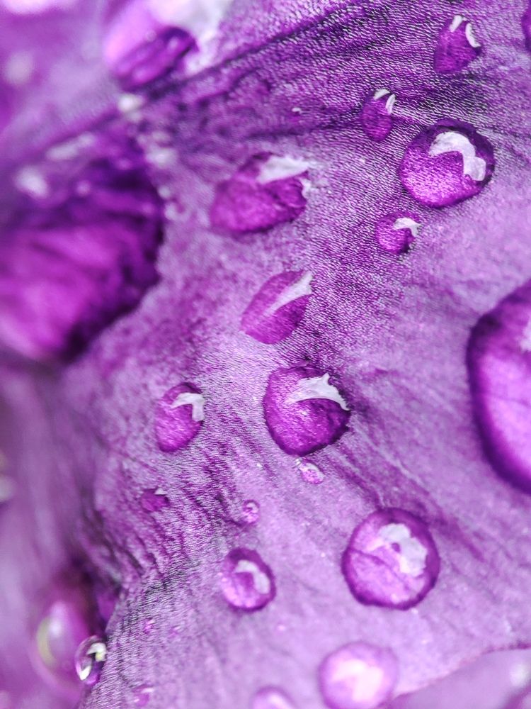 Photograph by Людмила Сергеева