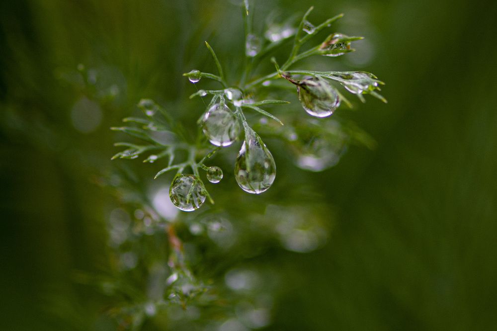 Photograph by Игорь Смирнов
