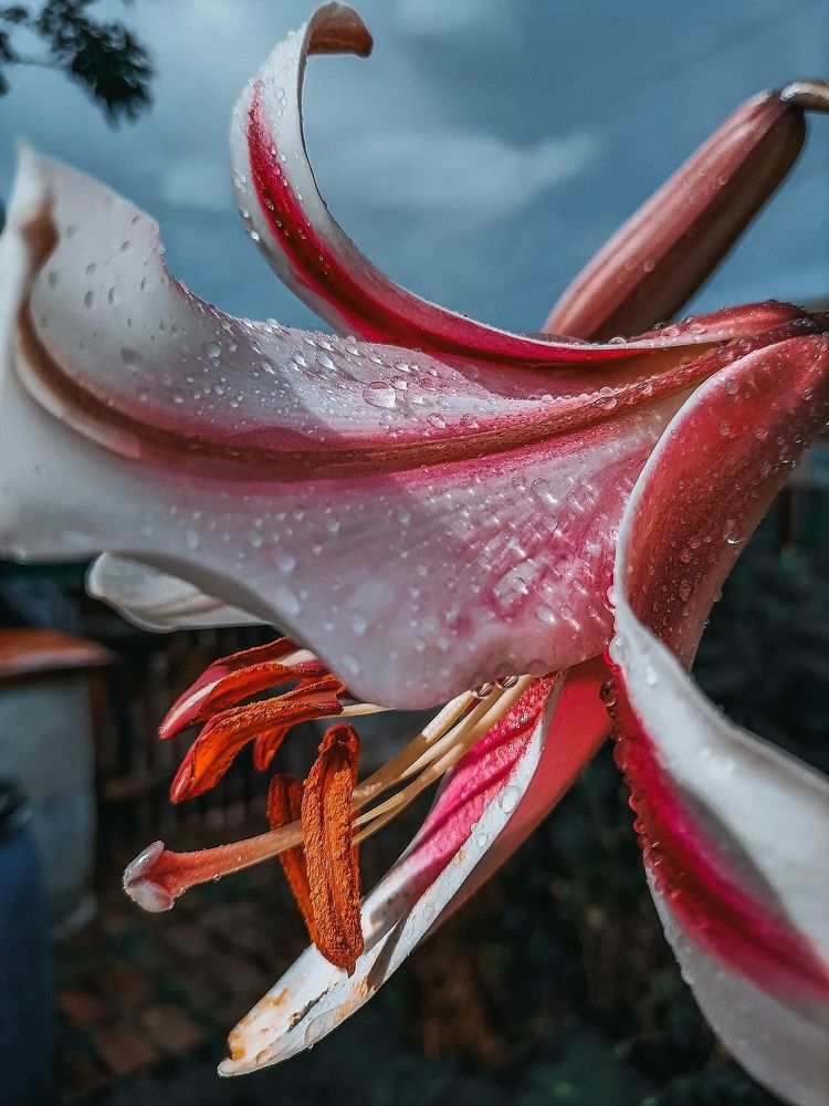 Photograph by Ольга Мазитова