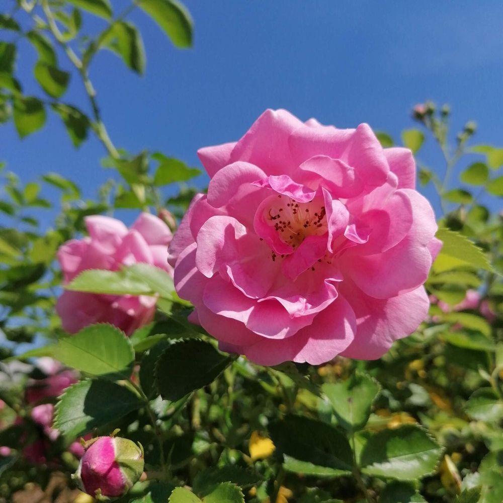 Photograph by Екатерина Супраненок