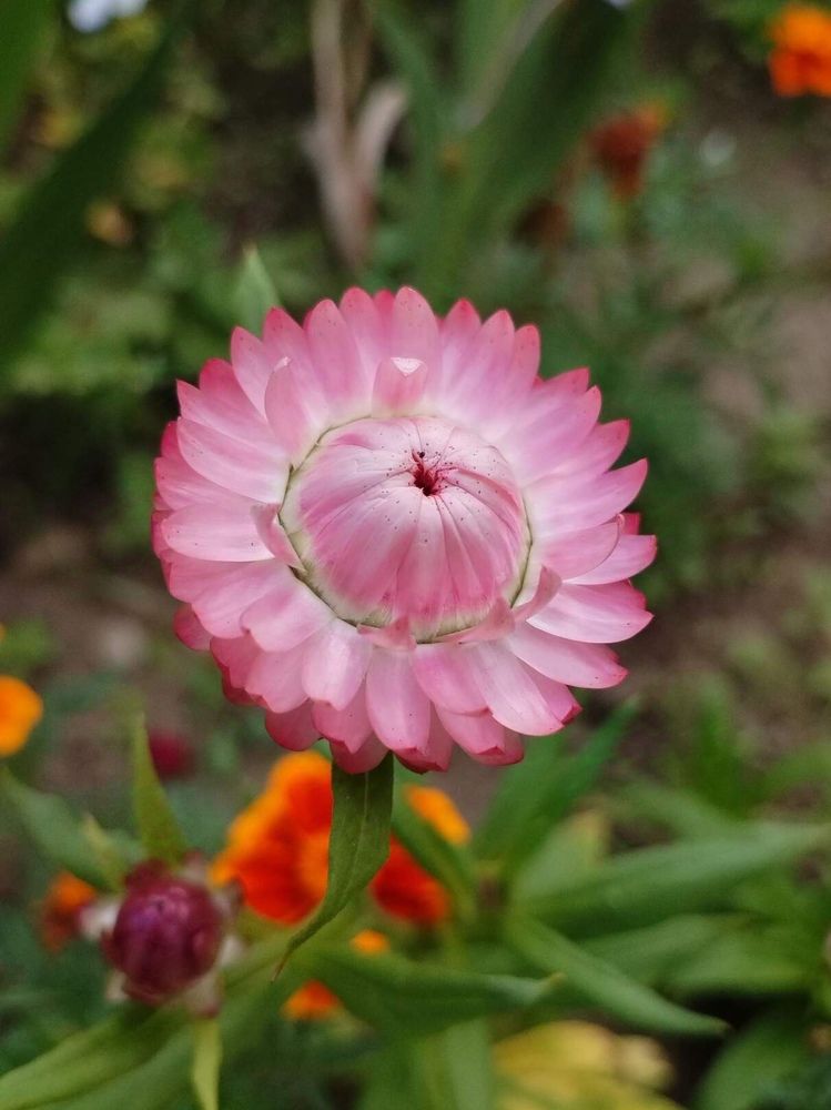 Photograph by Екатерина Супраненок