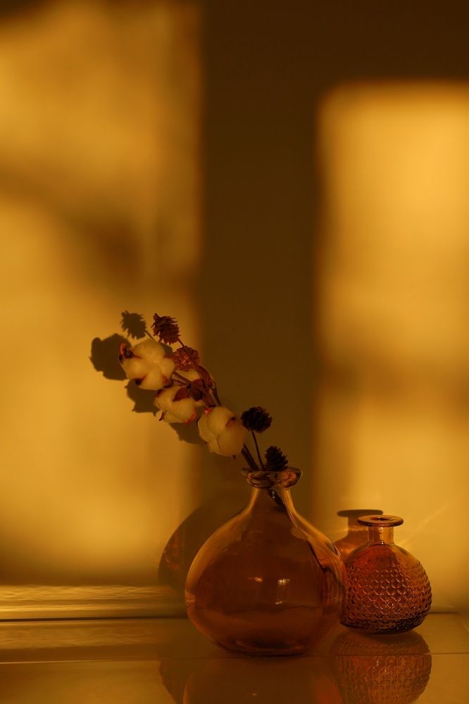 Фотография автора Мария Стратан