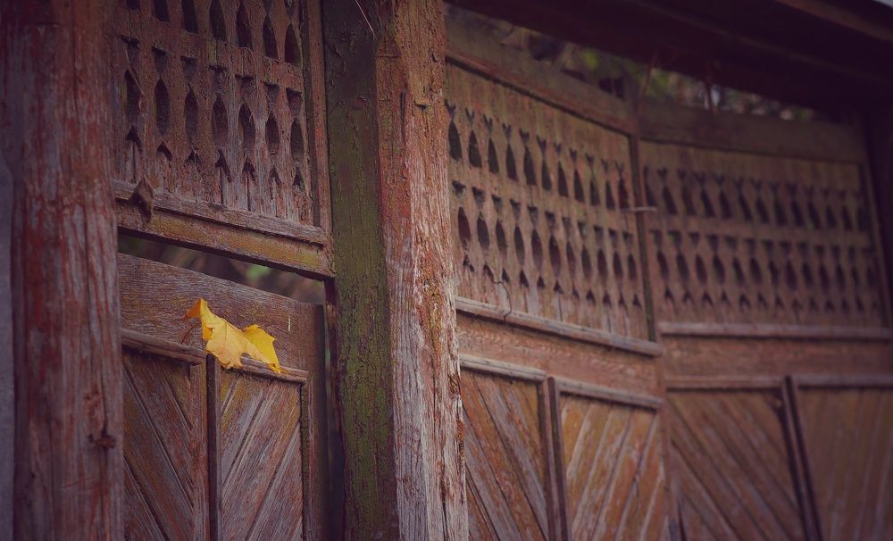 Фотография автора Мария Стратан