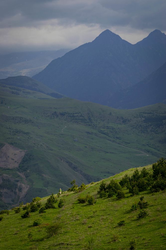 Фотография автора Оксана Белозерская