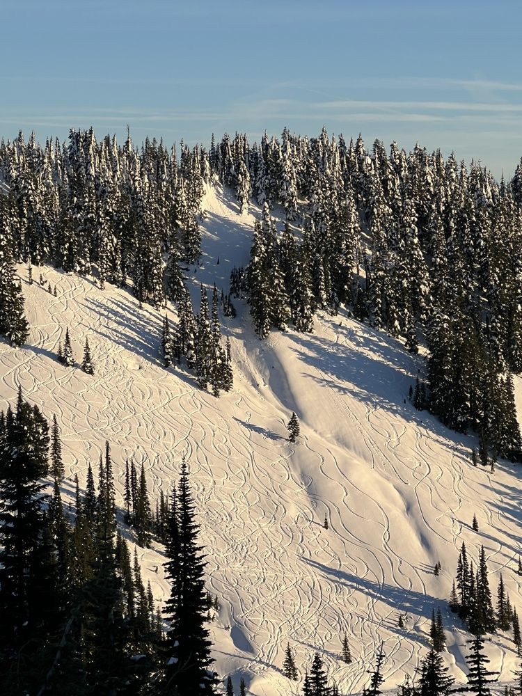 Фотография автора Diana