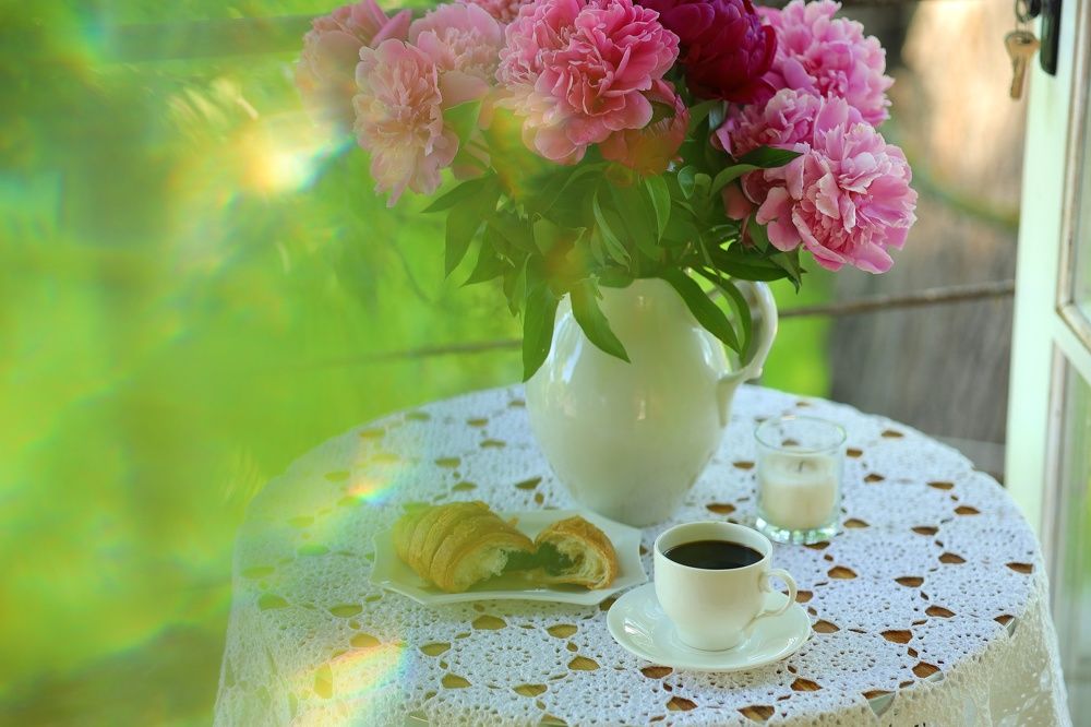 Фотография автора Мария Стратан