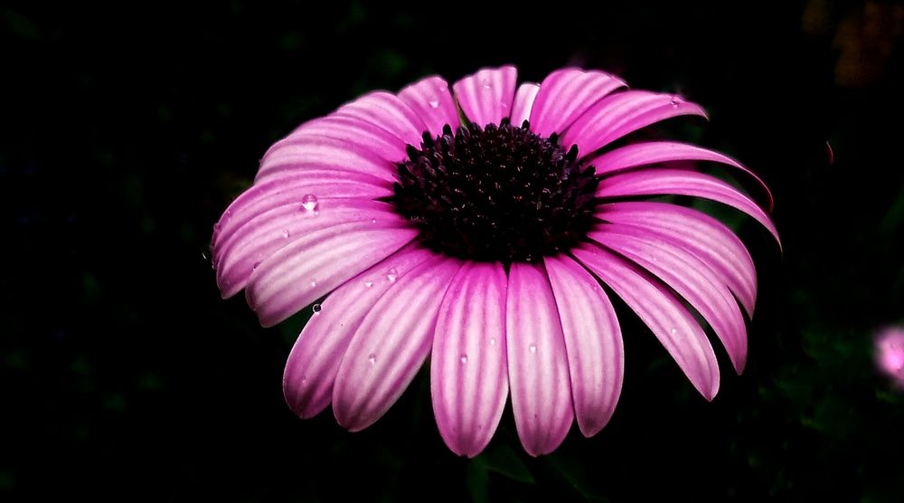 Фотография автора Mahdi Mohammadi