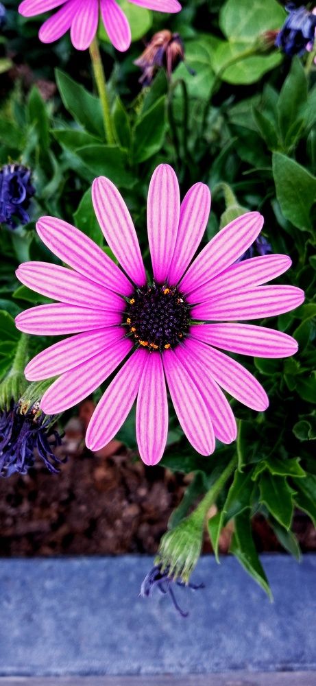 Фотография автора Mahdi Mohammadi