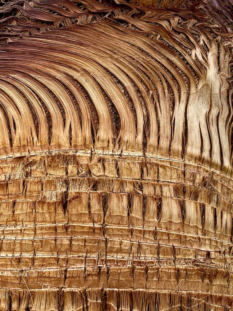 Фотография автора Рамзия Хисамутдинова