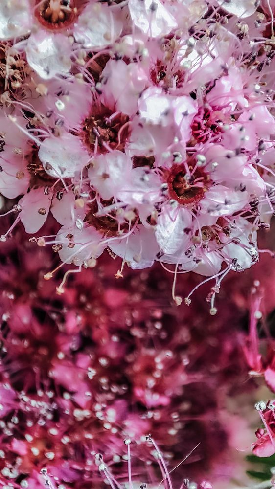 Photograph by Людмила Сергеева