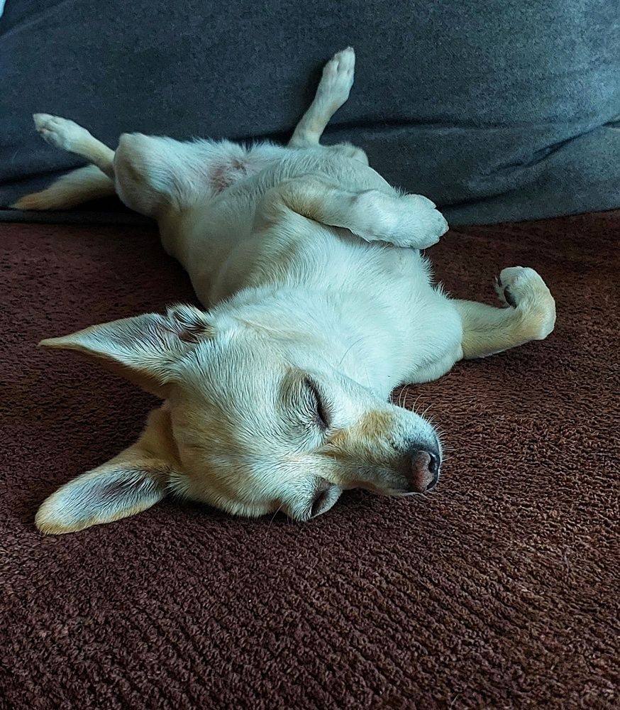 Photograph by Юлия Коробкова