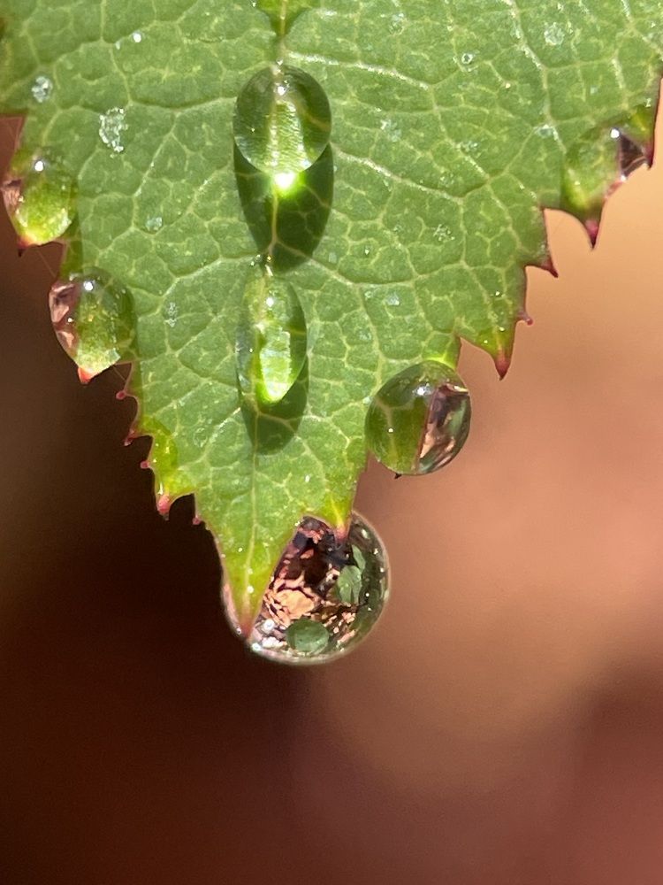 Фотография автора Рамзия Хисамутдинова