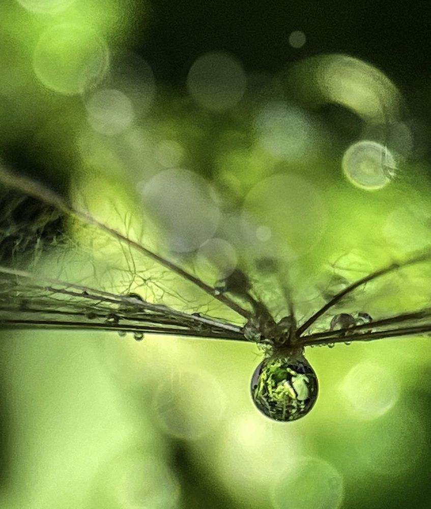 Фотография автора Рамзия Хисамутдинова