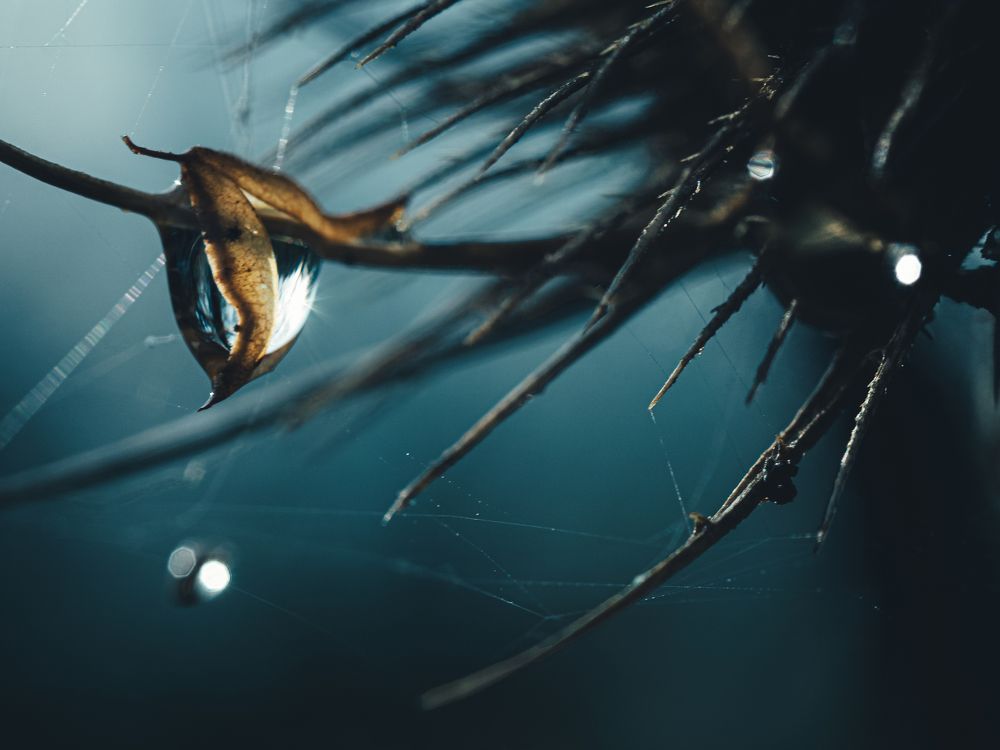 Photograph by Ирина Протченко