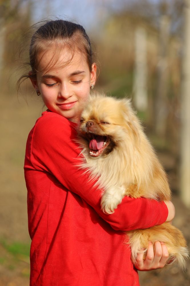 Фотография автора Мария Стратан