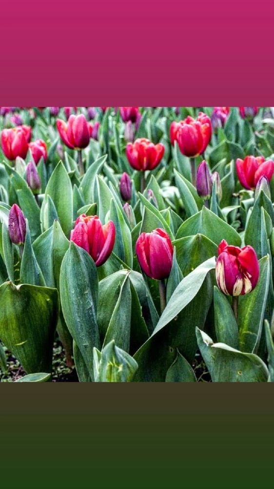 Photograph by Екатерина Игоревна