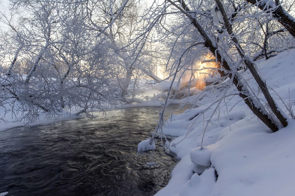 Photograph by Татьяна Феденкова