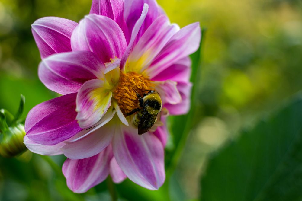 Фотография автора Евгения Снигирева