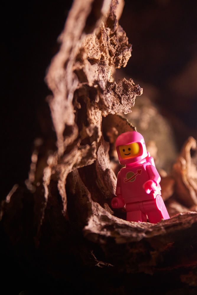 Photograph by Дмитрий Солодухин