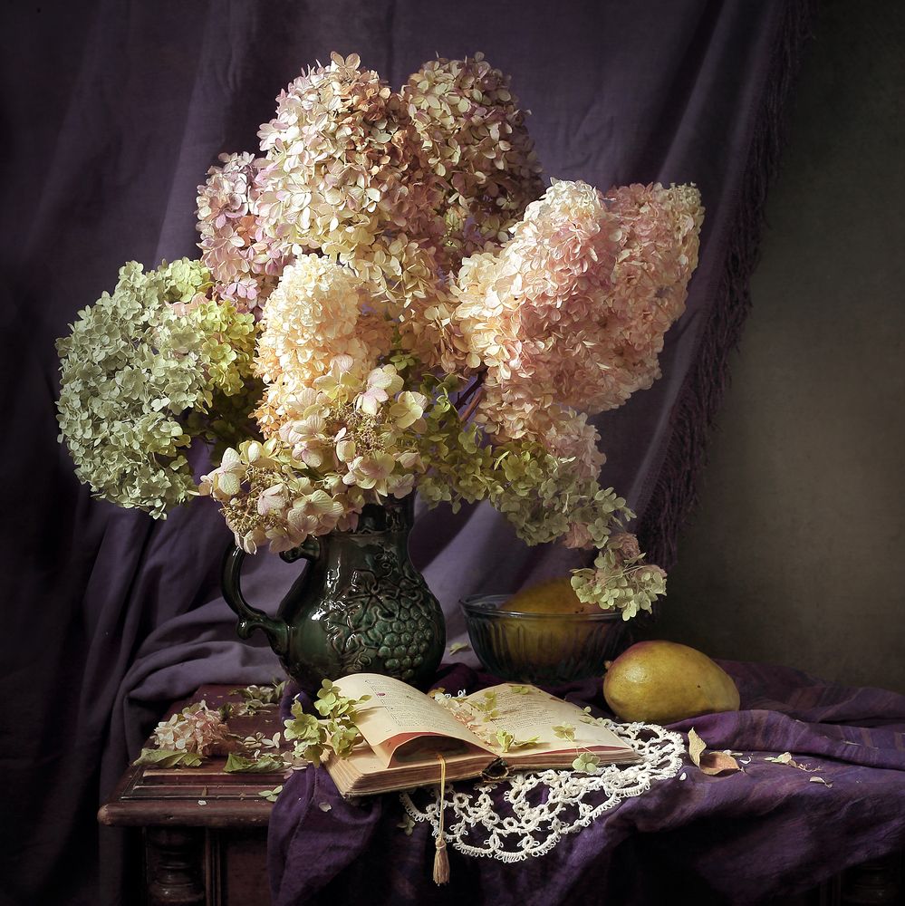 Легкое кружево гортензии