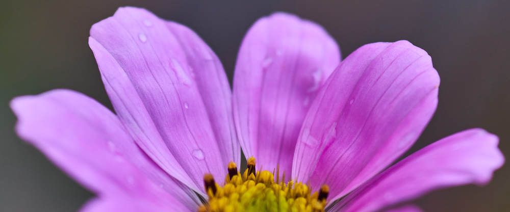 Photograph by Дмитрий Солодухин