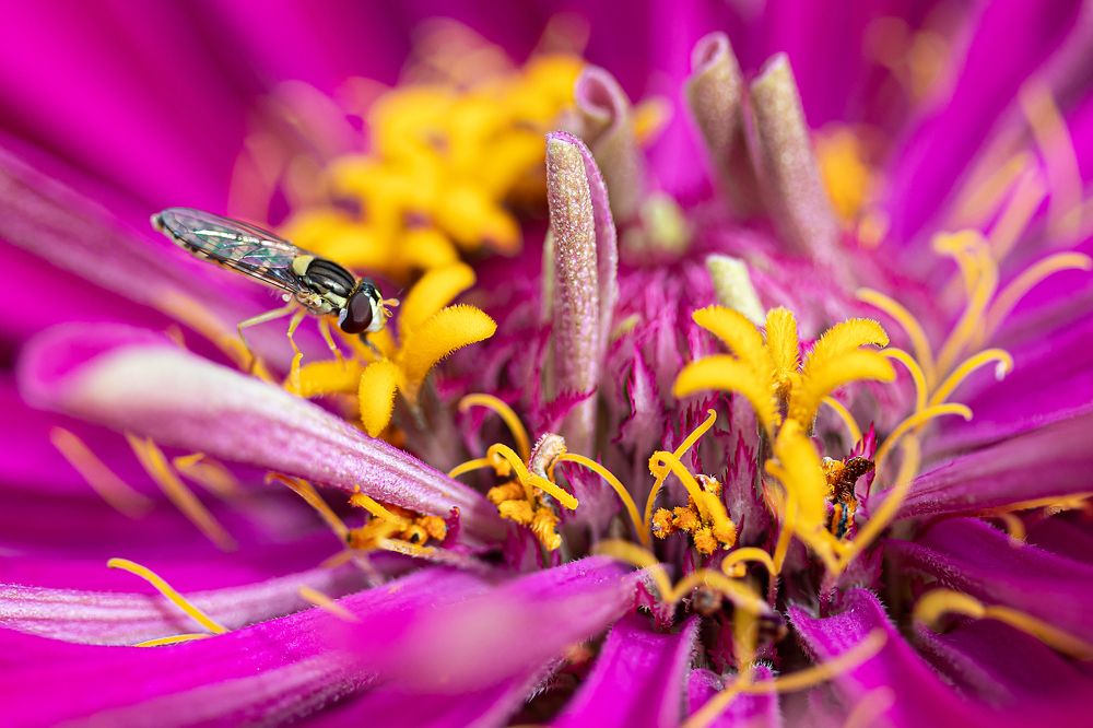 Photograph by Andrey Sensetic