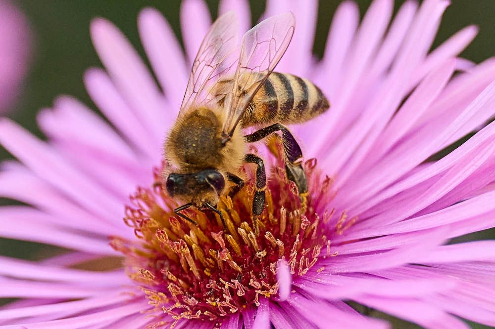 Photograph by Дмитрий Солодухин