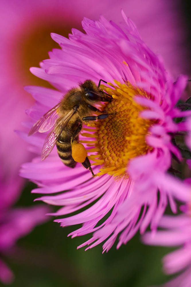 Photograph by Дмитрий Солодухин