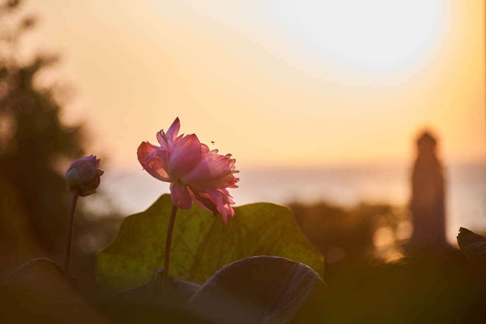 Photograph by Дмитрий Солодухин