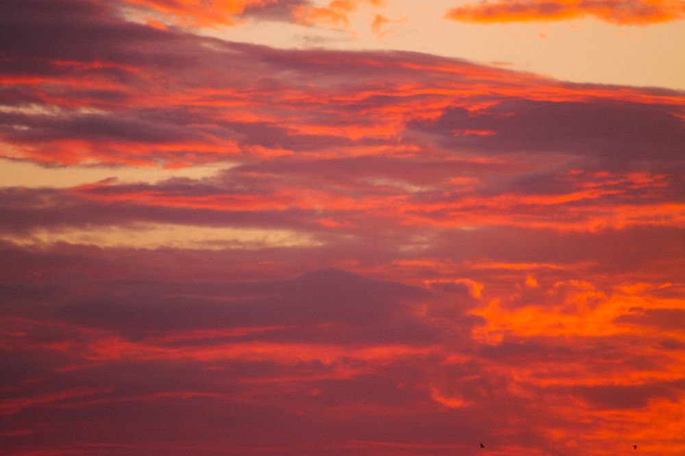 Photograph by Елена Неклюдова