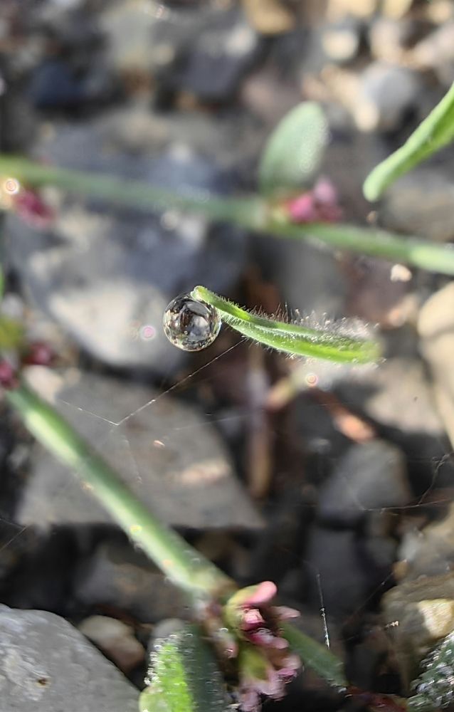 Photograph by Ирина Тихая