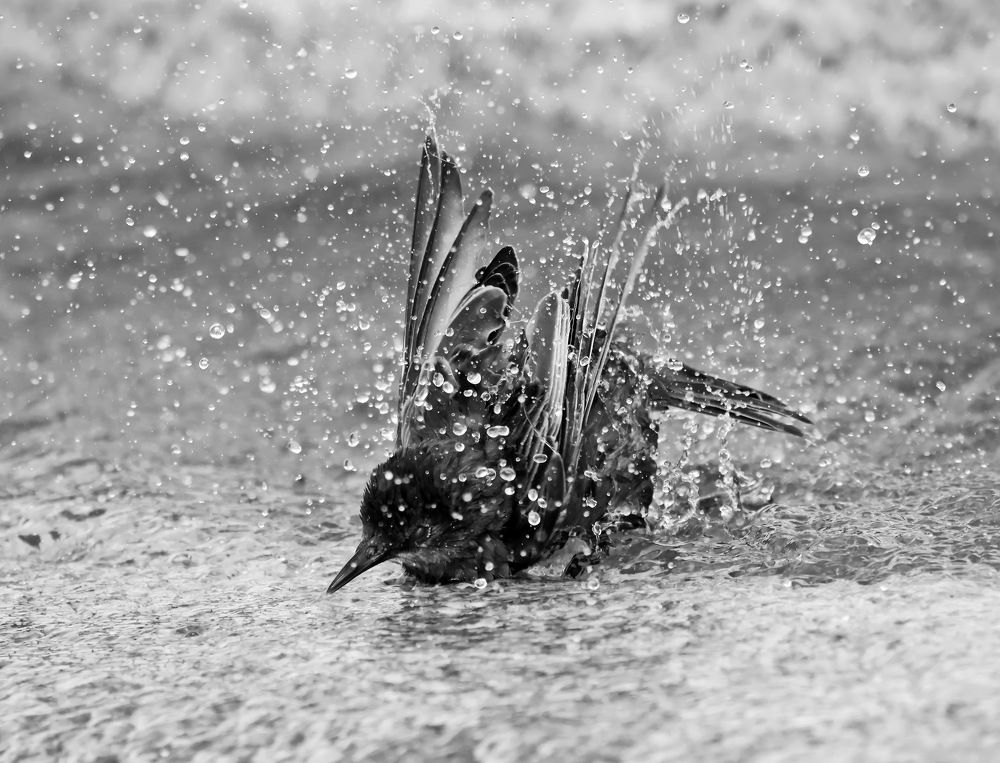 Photograph by Сергей Маслов