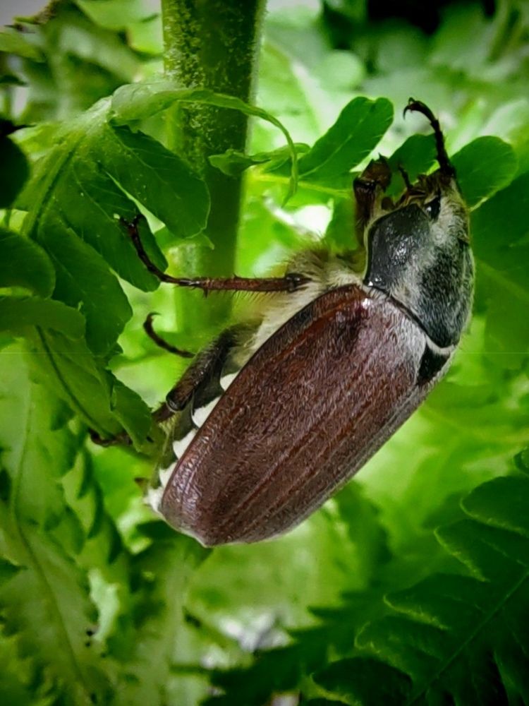 Photograph by Куделенко Оксана