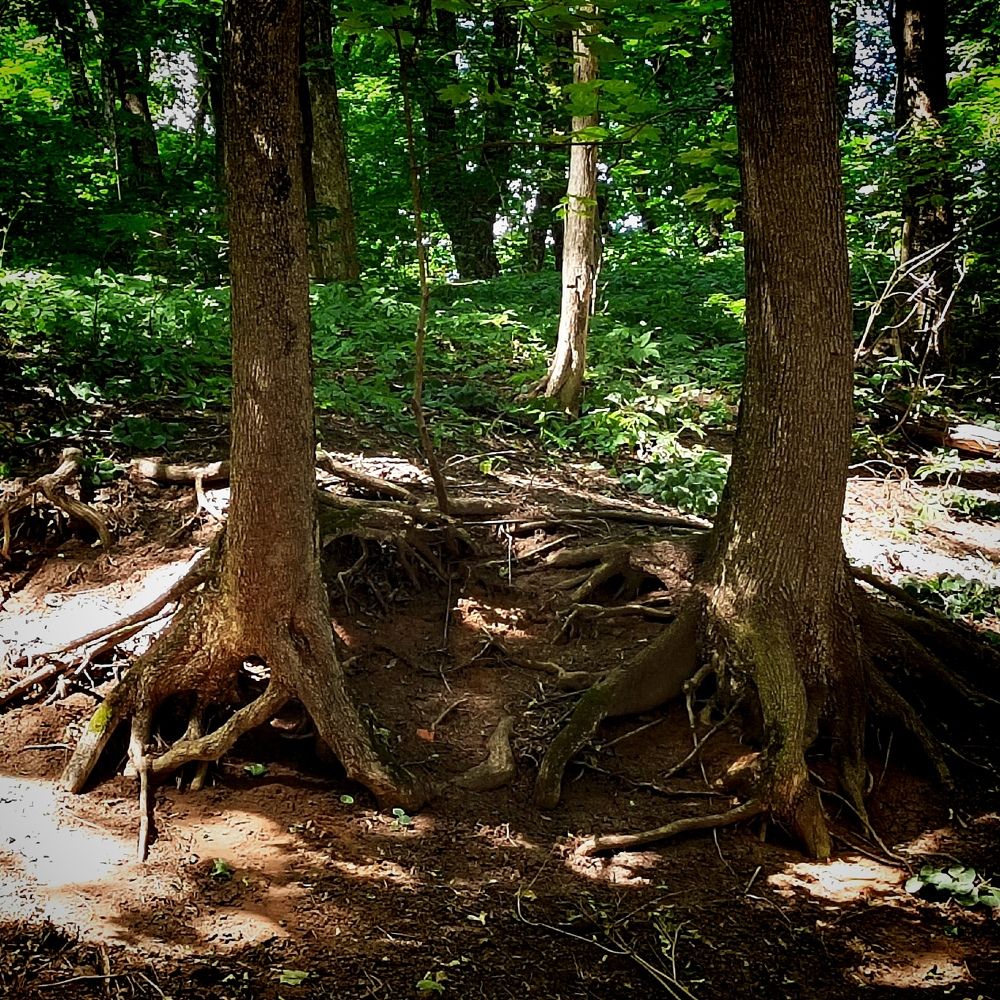 Photograph by Куделенко Оксана