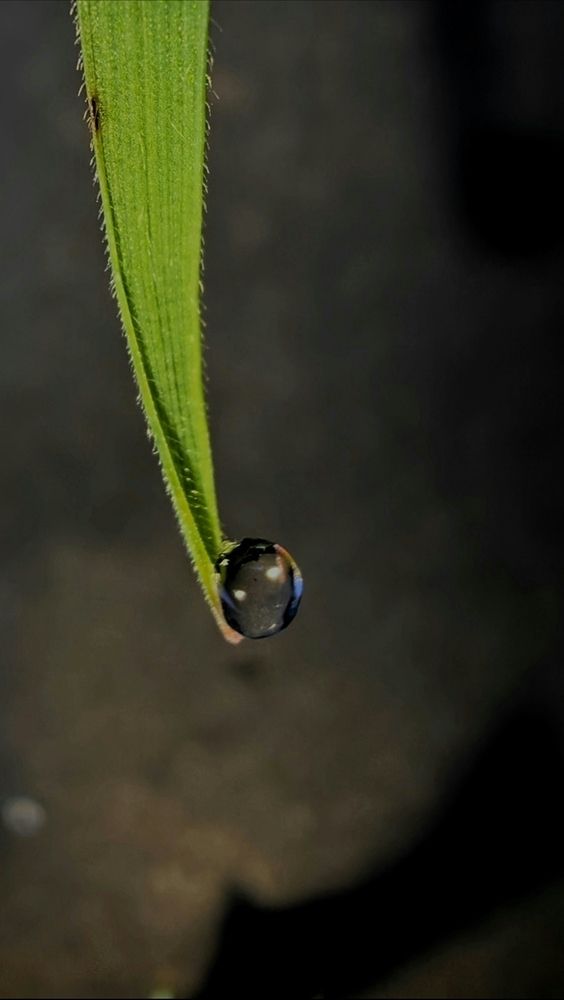 Photograph by Ирина Тихая