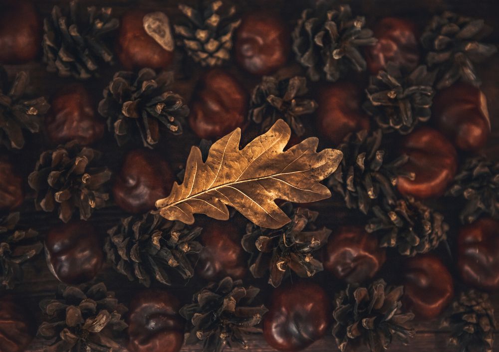 Photograph by Ольга Остапенко