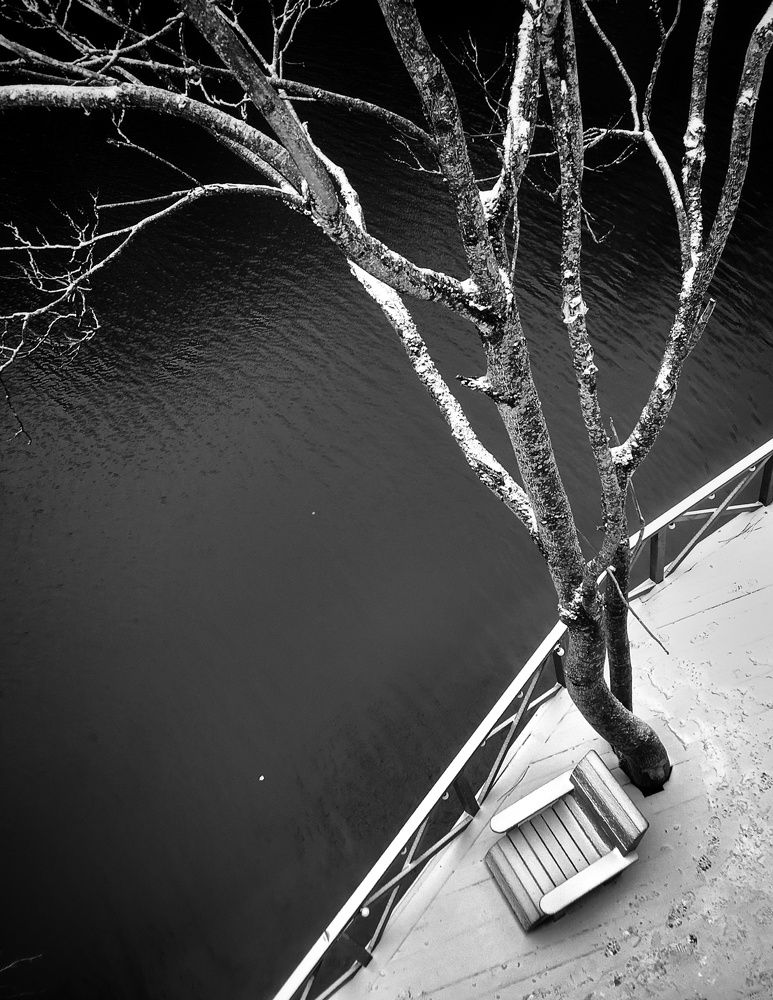 Photograph by Кривенко Владимир